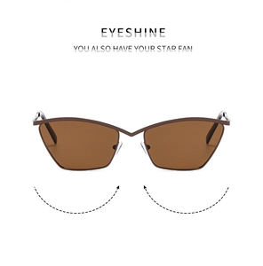 Detailed view of pointed metal cat-eye sunglasses featuring brown lenses and nose pad design