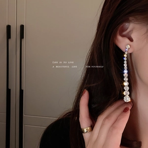 Elegant silver tassel earrings with sparkling rhinestones worn by a model in a soft setting