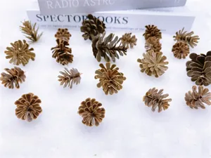 Vue à plat de pommes de pin artificielles brunes sur fond blanc pour déco de Noël DIY