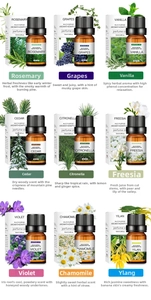 Detailed set of nine 10ml water-soluble essential oils for humidifiers in neat white boxes