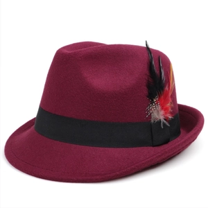 Detail view of burgundy Fedora wool hat with black ribbon and colorful feather accent