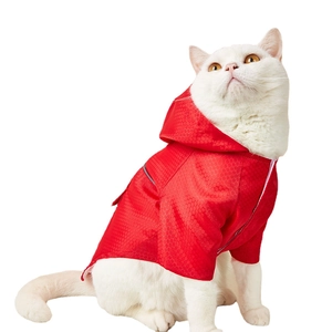 Waterproof hooded pet raincoat in bright red with reflective safety stripes for small dogs