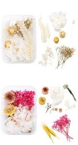 Detailed view of DIY preserved floral arrangement kits with colorful dried hydrangea petals