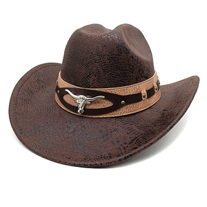 Detail of dark brown cowboy hat with snakeskin texture and silver bull head rivet