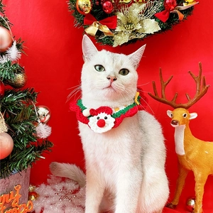 Close-up of pet Christmas knitted collar with Santa Claus ornament on a fluffy cat