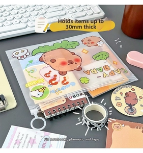 Detailed view of Capybara transparent stationery pouch with 30mm capacity for exam use