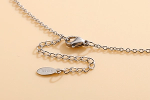 Close-up of stainless steel lobster clasp and extension chain with S.Steel engraving
