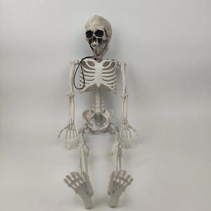 Detailed macro view of a seated plastic human skeleton model for Halloween decor