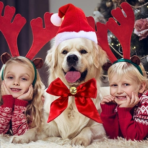 Christmas pet accessories set including reindeer antlers, plush hat and bow tie on a dog