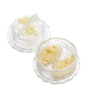 Dual manual plastic garlic twist grinders showing crushed garlic in a clear circular design