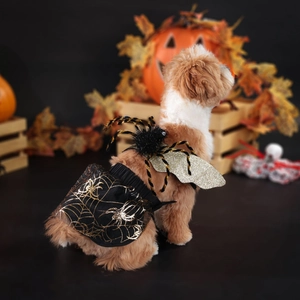 Detail of Halloween pet set with golden spider web tutu and sparkly spider wings