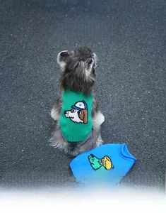 Detail of soft knit pet sweater featuring ribbed cuffs and cartoon jacquard patterns