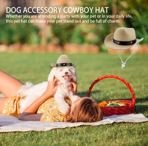 Detail of a white dog wearing a khaki cowboy hat with adjustable strap in a sunny park