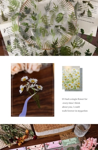 Close-up of botanical PET stickers featuring ferns and daisies on glass jars