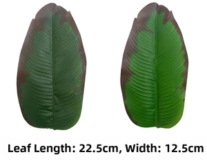 Detail view of artificial traveler palm leaves showing dimensions of 22.5cm by 12.5cm