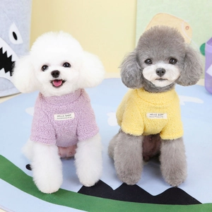 Thick fleece pet hoodie for small dogs in purple and yellow on cute teddy models