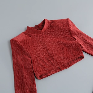 Detail of red-brown long sleeve crop top featuring pleated texture and mock neck design