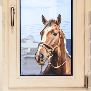Creative glass window decal featuring a realistic brown horse head on a wooden frame