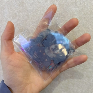 Handheld view of black and white botanical PET stickers in transparent packaging