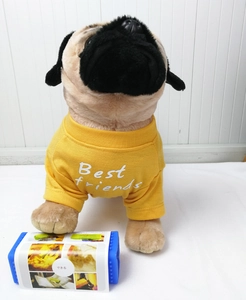 Close-up of yellow dog T-shirt featuring Best Friends text on a pug model