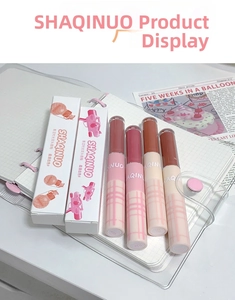 Close-up of dual-ended lip glaze set in various shades with illustrated packaging box