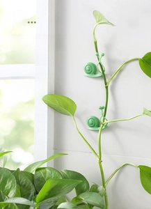Macro detail of snail-shaped green plant support clips on a white wall for vine climbing