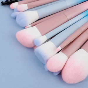 Lot de 16 pinceaux de maquillage dégradés avec poils souples et manches mats pastel