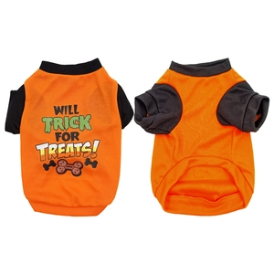 Flat lay of Halloween pet t-shirt with orange and black contrast and spooky slogan