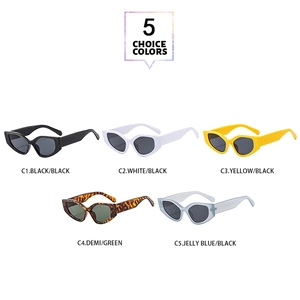 Cat eye sunglasses detail showcasing five retro color variants including black and demi
