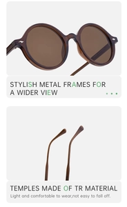 Detail view of brown round sunglasses frame with TR25079 model and metal hinge info