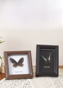 Vintage wooden shadow box frame featuring real butterfly specimens for home desk decor