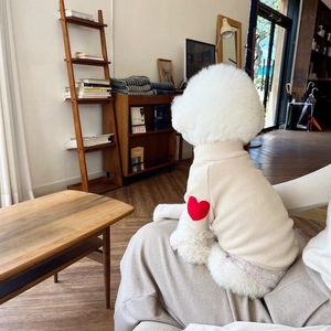 Close-up of a Bichon wearing a beige knit pet sweater with red heart embroidery detail