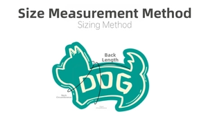 Dog sizing guide showing how to measure neck, chest and back length for pet apparel