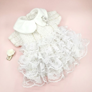 Detailed view of white tweed pet dress with tiered lace skirt and pearl flower brooch