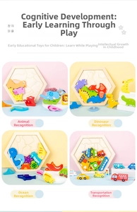 Detail view of colorful wooden hexagon animal and vehicle puzzles for kids' learning