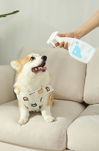 Close-up of hand spraying 500ml pet odor eliminator on sofa near a Corgi dog