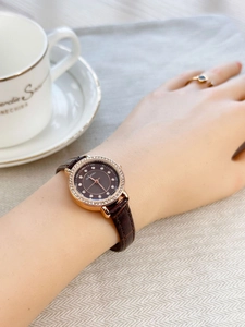Detail of luxury rose gold watch with diamond bezel and brown crocodile leather strap