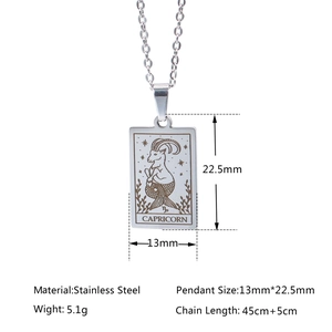Capricorn stainless steel zodiac necklace with pendant dimensions and weight details