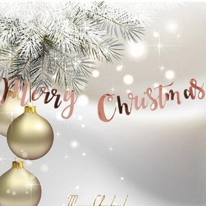Rose gold Merry Christmas banner hanging on festive background with white pine needles