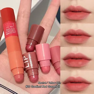 Velvet matte lipstick pencil set #02 swatches on lips for neutral and yellow skin tones