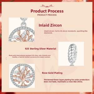 Close-up of 925 sterling silver Tree of Life charm with rose gold plating and 3A zircons
