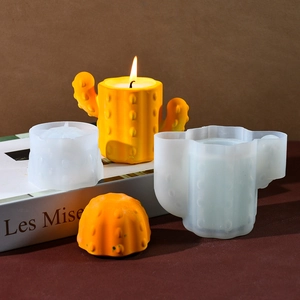 DIY cactus storage box silicone mold set for resin casting and scented candle making