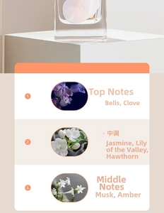 Detailed aromatic notes chart of the luxury preserved flower reed diffuser set