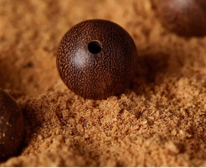 Macro shot of a dark brown Golden Silk Phoebe wood bead with natural grain on sawdust