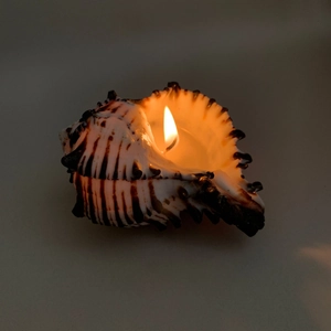 Natural Sea Shell Scented Candle Handmade Conch Shell Vegetable Wax Aromatherapy Mediterranean Style Home Decor Gift