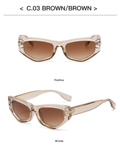 Detailed front and side view of brown cat eye sunglasses in a high-fashion narrow frame