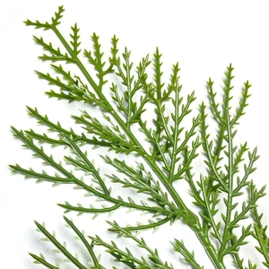 Detailed view of realistic green plastic pine branches with intricate needle textures