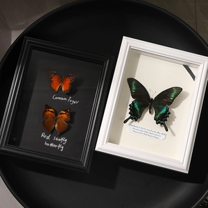 Minimalist butterfly specimen shadow box frames in black and white wood finishes