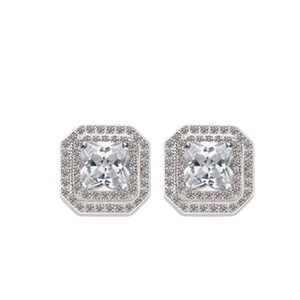 Elegant square princess cut stud earrings with double halo zircon stones in silver finish
