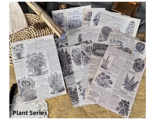 Close-up of vintage botanical plant scrapbooking paper with floral sketches and pen